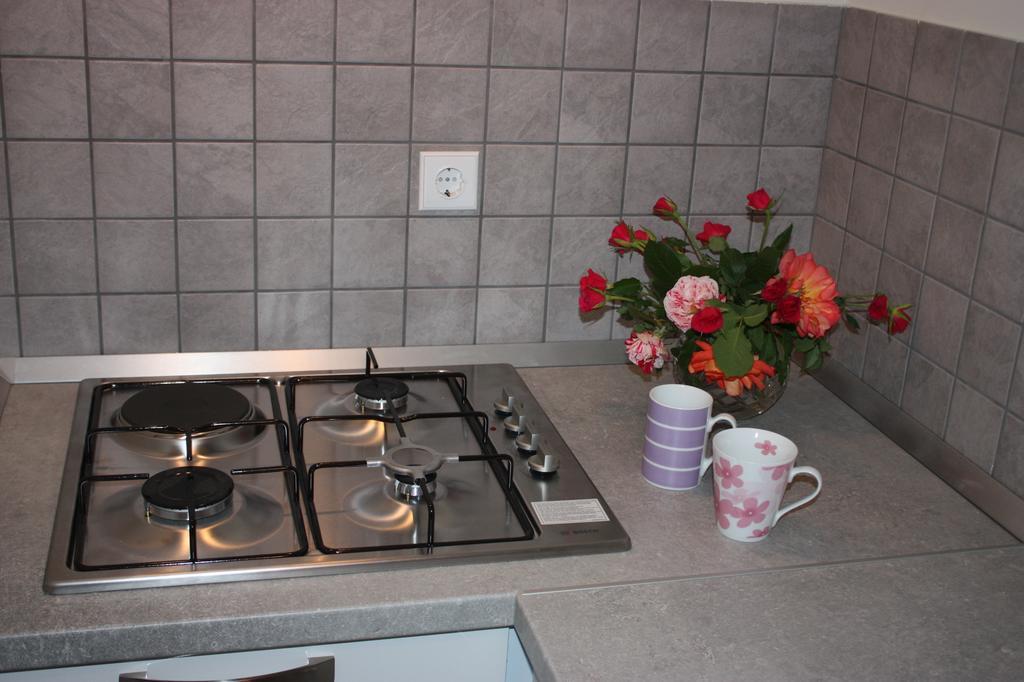 Apartment Borna Pazin Exterior photo